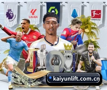 kaiyun APP